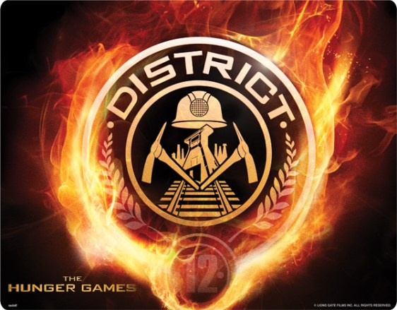 The-hunger-games--district-12-logo-on-fire